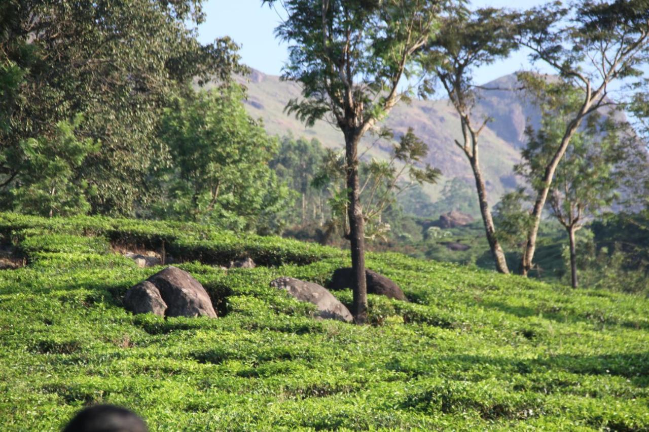 Chandys Windy Woods Munnar Dış mekan fotoğraf